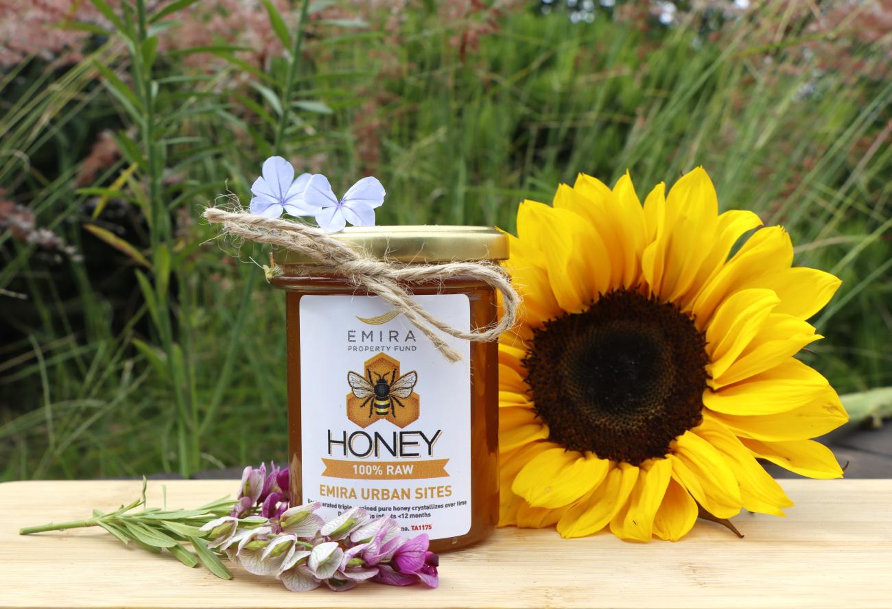 Emira Property Fund’s Bees Make Sweet Business Sense on World Bee Day